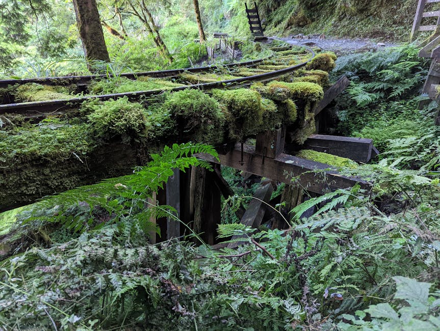 Moss-covered abandoned railway tracks surrounded by lush greenery in the forests of Yilan County, Taiwan.