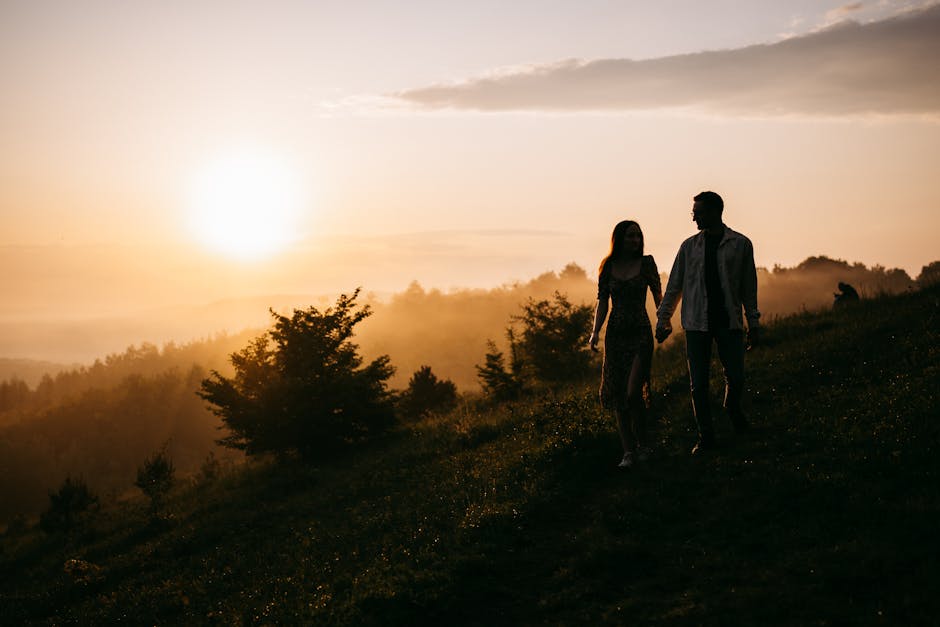 Silhouette of a couple holding hands during sunset on a hill, surrounded by nature.