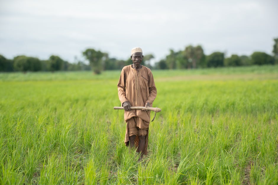 Elderly farmer in traditional attire working in a lush green field in Nigeria.