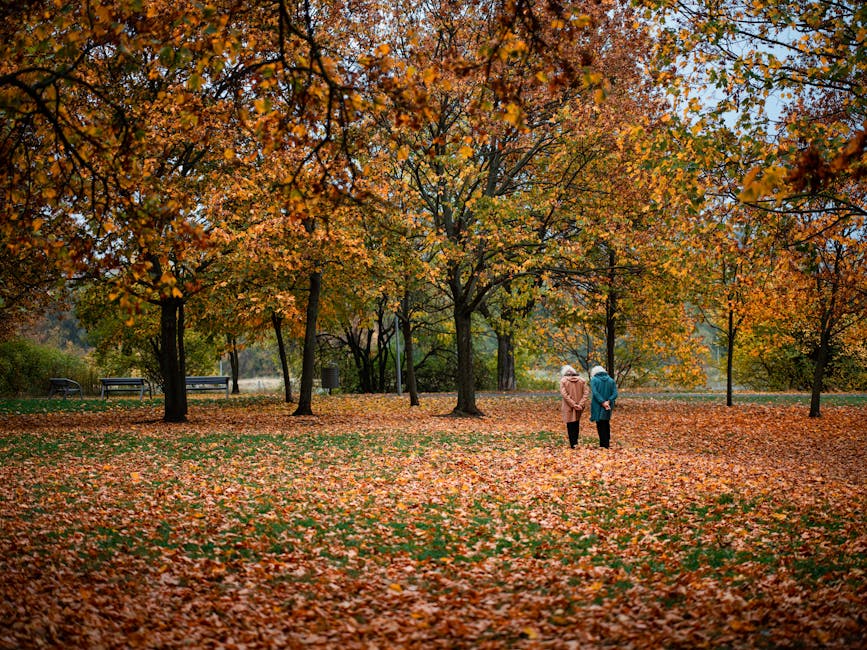 Two people walking through a park filled with vibrant fall foliage on an autumn day.